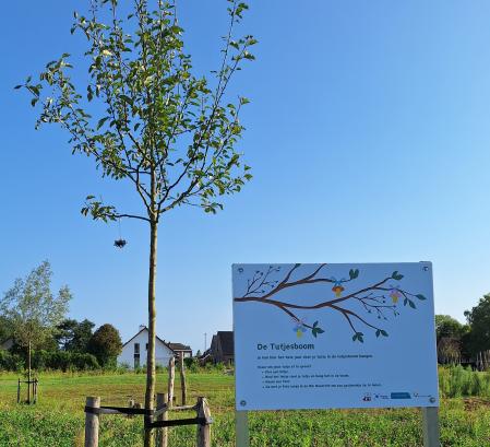 Bord tutjesboom