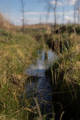 Foto van een gracht met weinig water